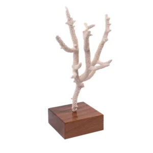 Corallo Acropora Nobilis su base Noce